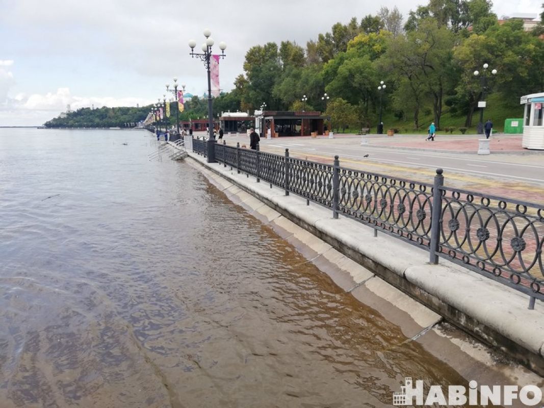 Гидрологическая обстановка в крае: подъём уровня воды на Амуре продолжается