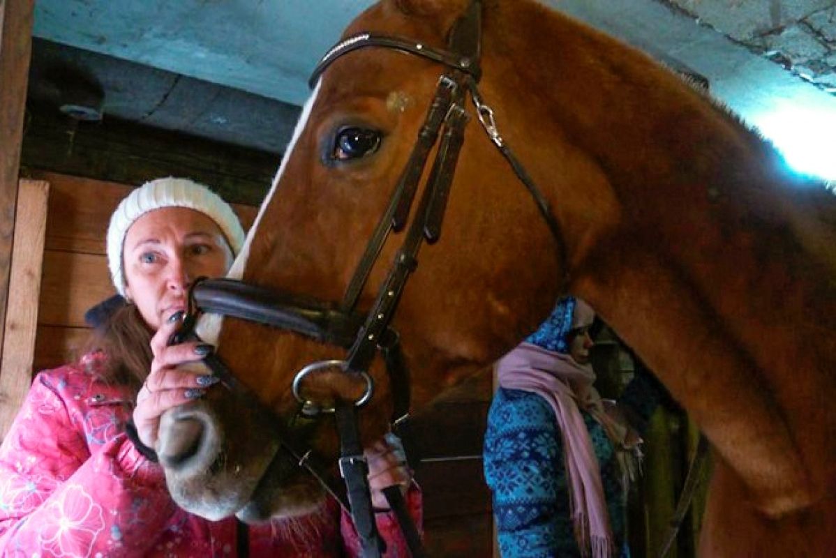 Из салона красоты – в конюшню: опыт хабаровской бизнес-леди Натальи Ермолаевой