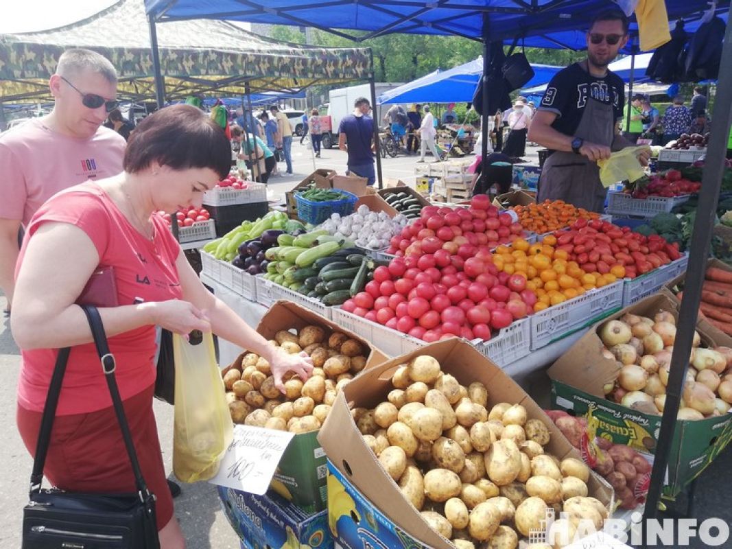 Чем будут торговать летом на улицах Хабаровска