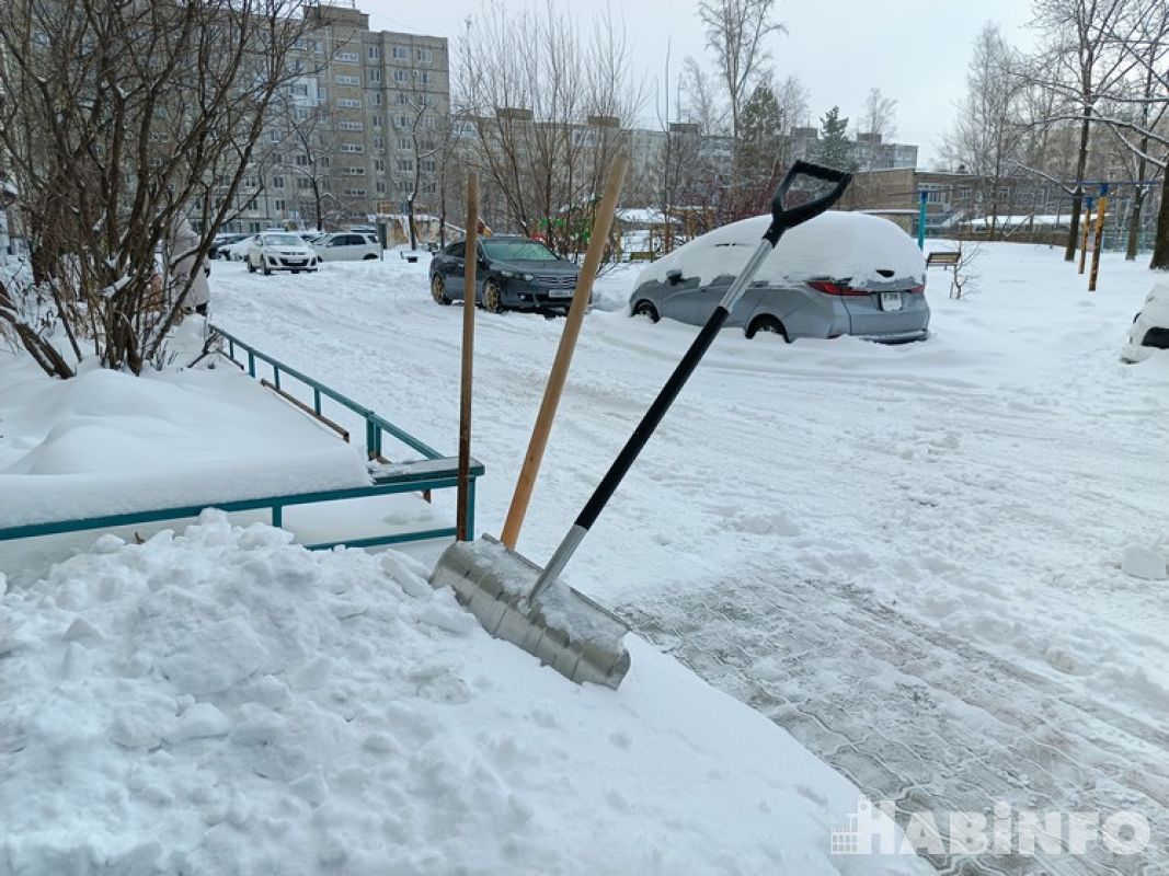 Хабаровский край завалит снегом: синоптики обещают сугробы по колено